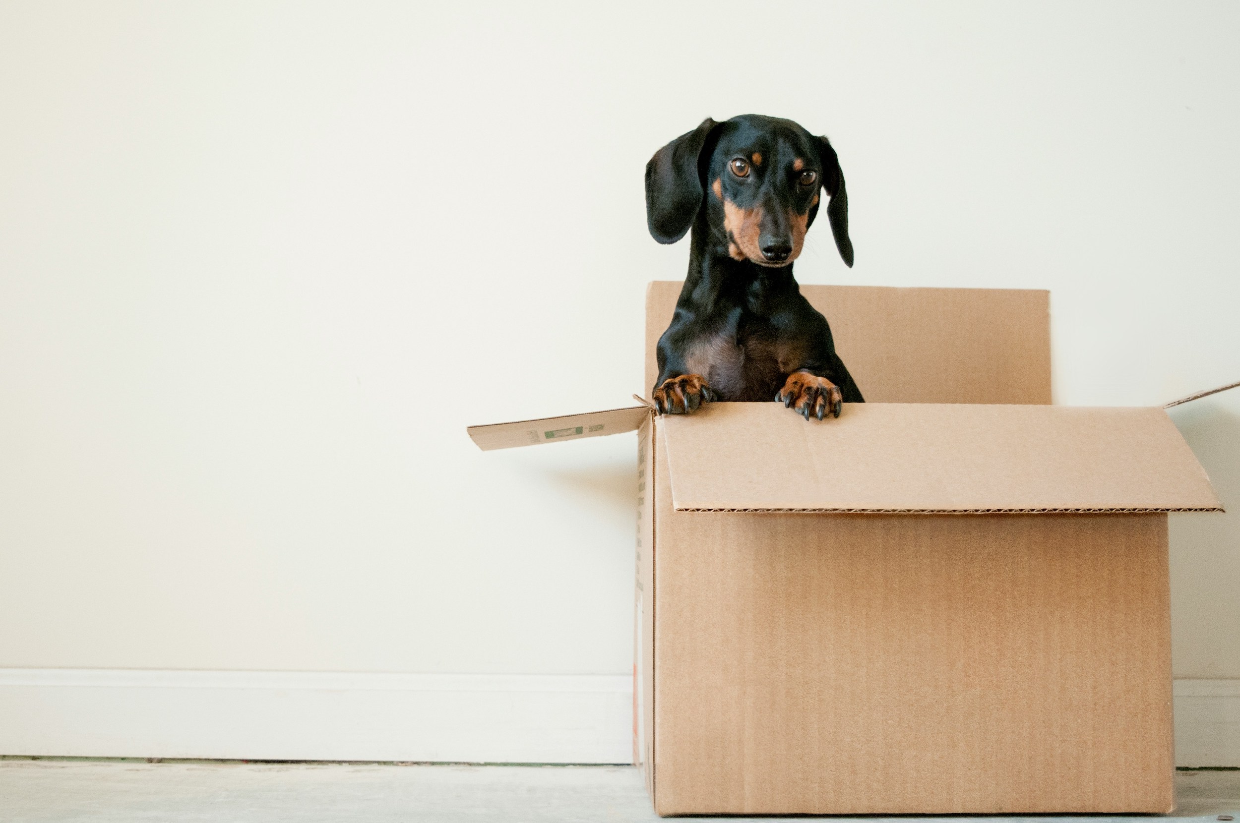 What to Pack First and Last When Moving